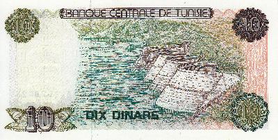 Beschrijving achterzijde: DAM